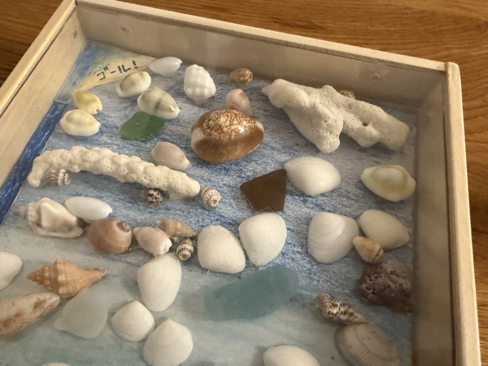 貝殻の形を生かした完成した迷路とクレヨンで描いた海の背景